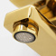 Душевой комплект WasserKRAFT A171.263.207.PG глянцевое золото