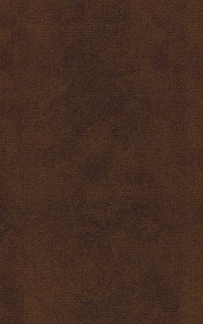 Плитка для стены Ceramica Classic Galatia Peony 25x40 B-GT-TR, коричневый