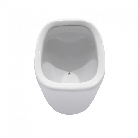 Писсуар с декором AM.PM Spirit 2.0 C707005WP