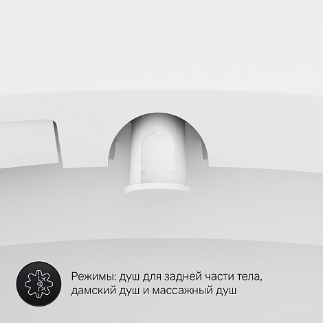 Унитаз подвесной AM.PM AWE C111739SC с крышкой биде