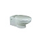 Крышка-сиденье для унитаза Villeroy&Boch Amadea 8810 66R1