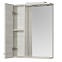 Шкаф зеркальный Aquaton Ронда PRO 1A208602RSC2L 55 см