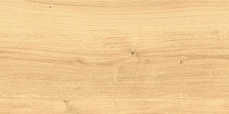 Фоновая плитка для пола Cersanit Woodhouse 59.8x29.7 WS4O012, Бежевый