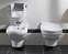Подвесной унитаз Villeroy&Boch Hommage 6661B0R1