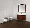 Сиденье для унитаза Cezares King Palace CZR-T-163-W-S-BR