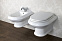 Сиденье для унитаза Cezares King Palace CZR-T-163-W-S-BR