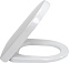 Унитаз подвесной Villeroy&Boch 2DAY2 46981001+8M32S101 с сиденьем