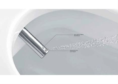 Крышка-сиденье для унитаза Villeroy&Boch ViClean V02EL401, с функцией биде