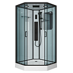 Душевая кабина Niagara NG-6901-01GD BLACK, универсальная