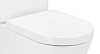 Сиденье для унитаза Belbagno Fly-R BB2111SC с микролифтом