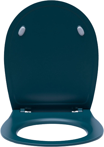 Крышка-сиденье для унитаза Allen Brau Fantasy Soft-Close 4.11005.PT петроль