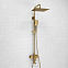 Душевой комплект WasserKRAFT A155.260.201.BG матовое золото