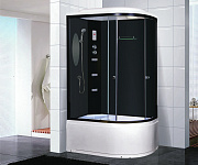 Душевая кабина Niagara Premium NG-214-01LN, стекло тонированное