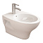 Биде подвесное Sanitana POP S10076534900000 ( PPBD3E )