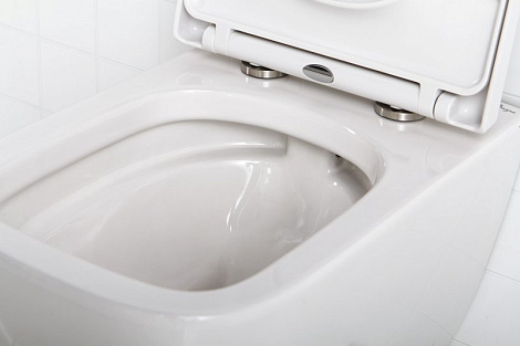 Унитаз подвесной BelBagno ALPINA BB10100CHR